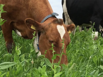 Presentatie boeren binnen gezonde grenzen loont